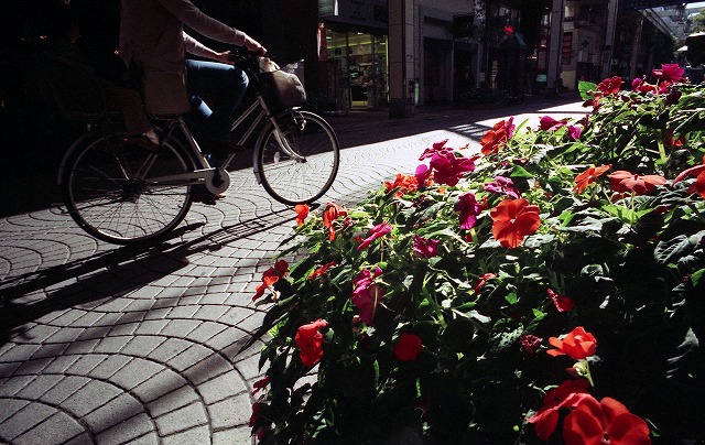 c0082800_218404.jpg