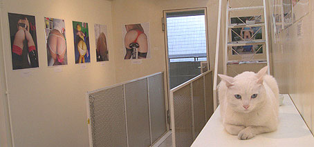 c0041201_1238940.jpg
