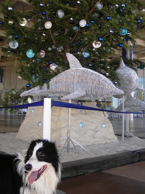 f0034602_18353912.jpg