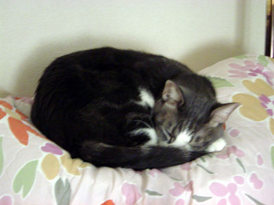 e0026704_2575752.jpg