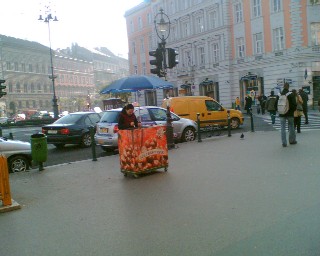 f0021504_4341971.jpg