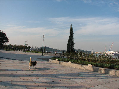 a0013905_10513624.jpg