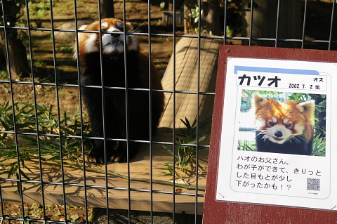 a0024005_12333159.jpg