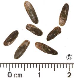 b0061010_20434660.jpg