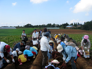 b0076710_11433146.jpg