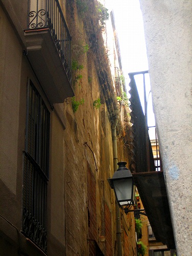 b0064411_16452280.jpg
