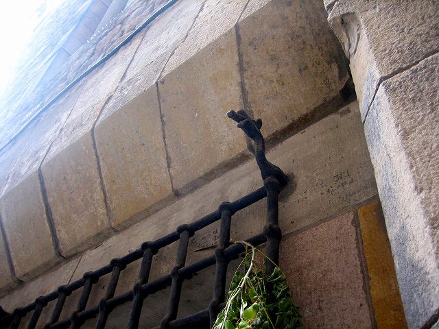 b0064411_175873.jpg