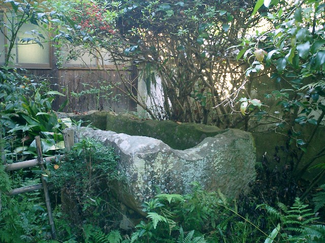 d0007913_18104572.jpg
