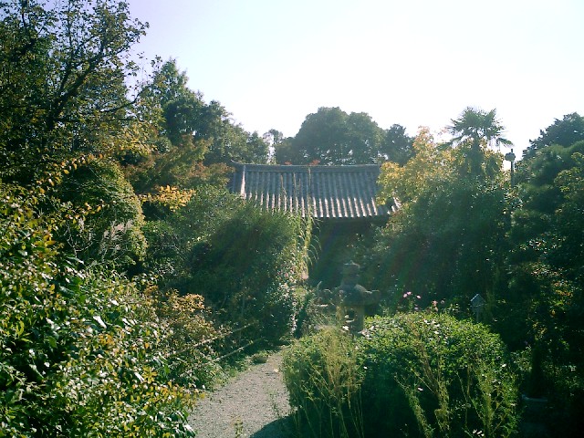 d0007913_1852483.jpg