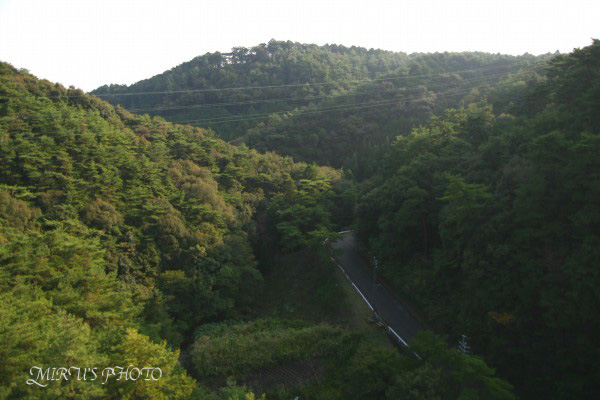 c0037519_0414391.jpg