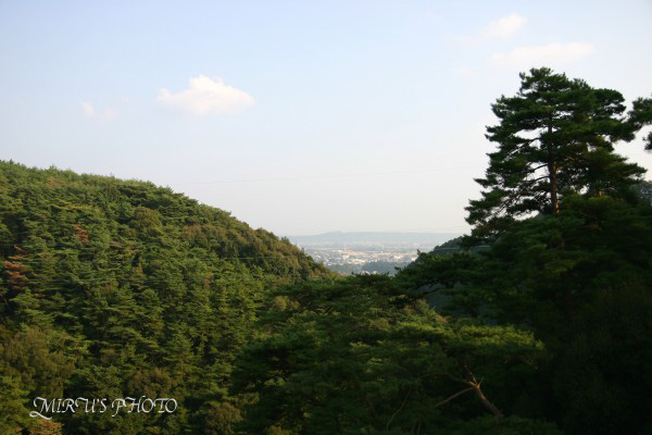 c0037519_041561.jpg
