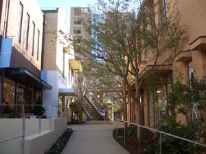 c0103119_2193734.jpg