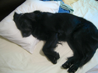 c0012120_22381797.jpg