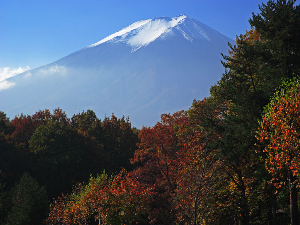 f0035323_3553135.jpg