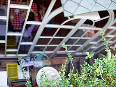 c0056437_2105473.jpg