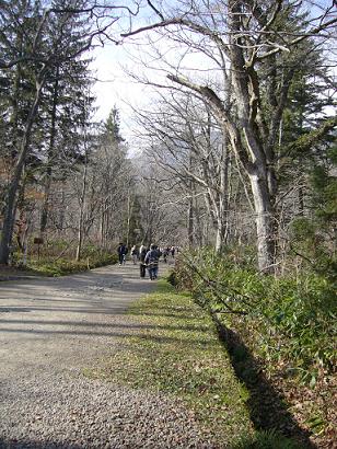 f0065941_13165339.jpg