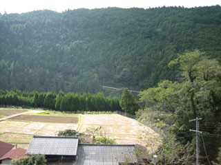 a0054948_16275187.jpg