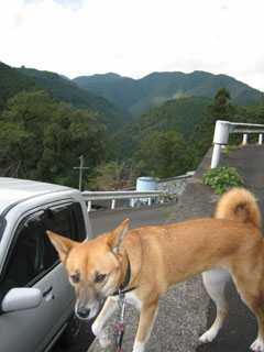 a0054948_16291997.jpg