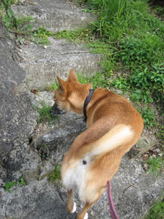 a0054948_16293635.jpg