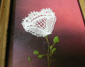 c0069048_6415997.jpg