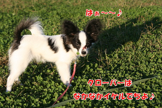 d0013149_13291469.jpg
