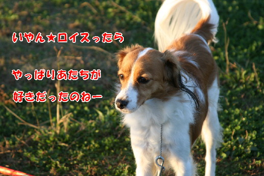 d0013149_1346301.jpg