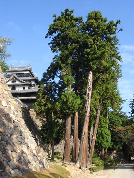 b0049152_18492775.jpg