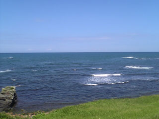 c0039153_011956.jpg
