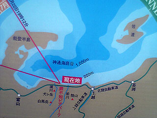 c0039153_032855.jpg