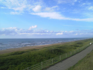 c0039153_081912.jpg