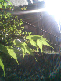 e0029553_21371650.jpg