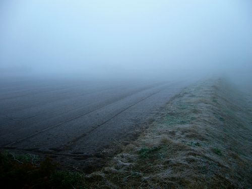 b0015260_8372719.jpg