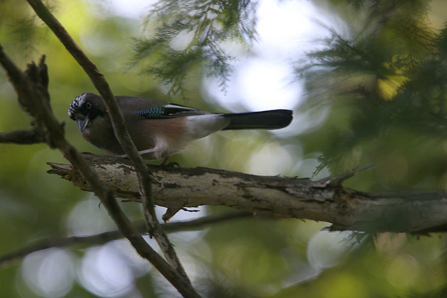f0103860_21411240.jpg