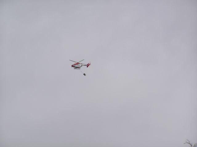 c0042869_20595445.jpg