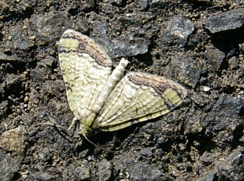 b0070071_15364226.jpg