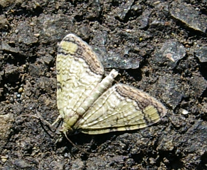 b0070071_15365654.jpg