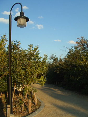 a0049275_17571025.jpg