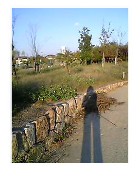 a0049275_18484566.jpg