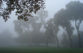d0078978_6391274.jpg