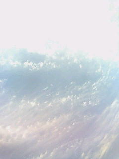c0096582_1662322.jpg