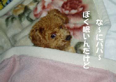 f0061283_1732125.jpg