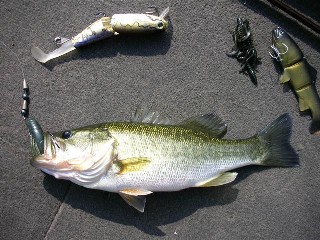 e0052088_1335649.jpg