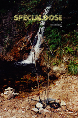 f0038892_264583.jpg