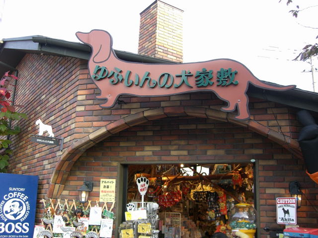 c0087001_22491328.jpg