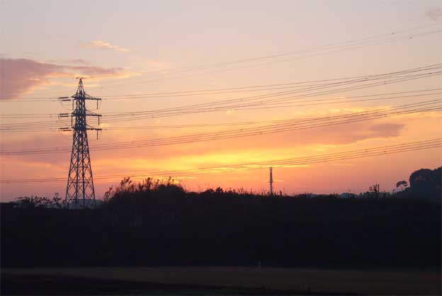 e0018604_147548.jpg