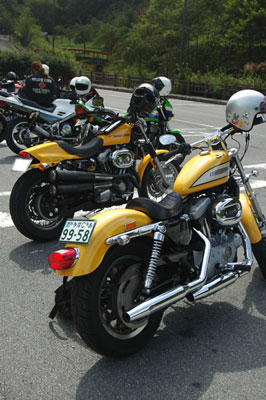 b0047907_1446334.jpg