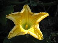 f0077807_14223625.jpg