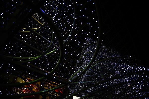 a0008508_2321641.jpg