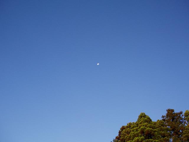 c0086014_227619.jpg