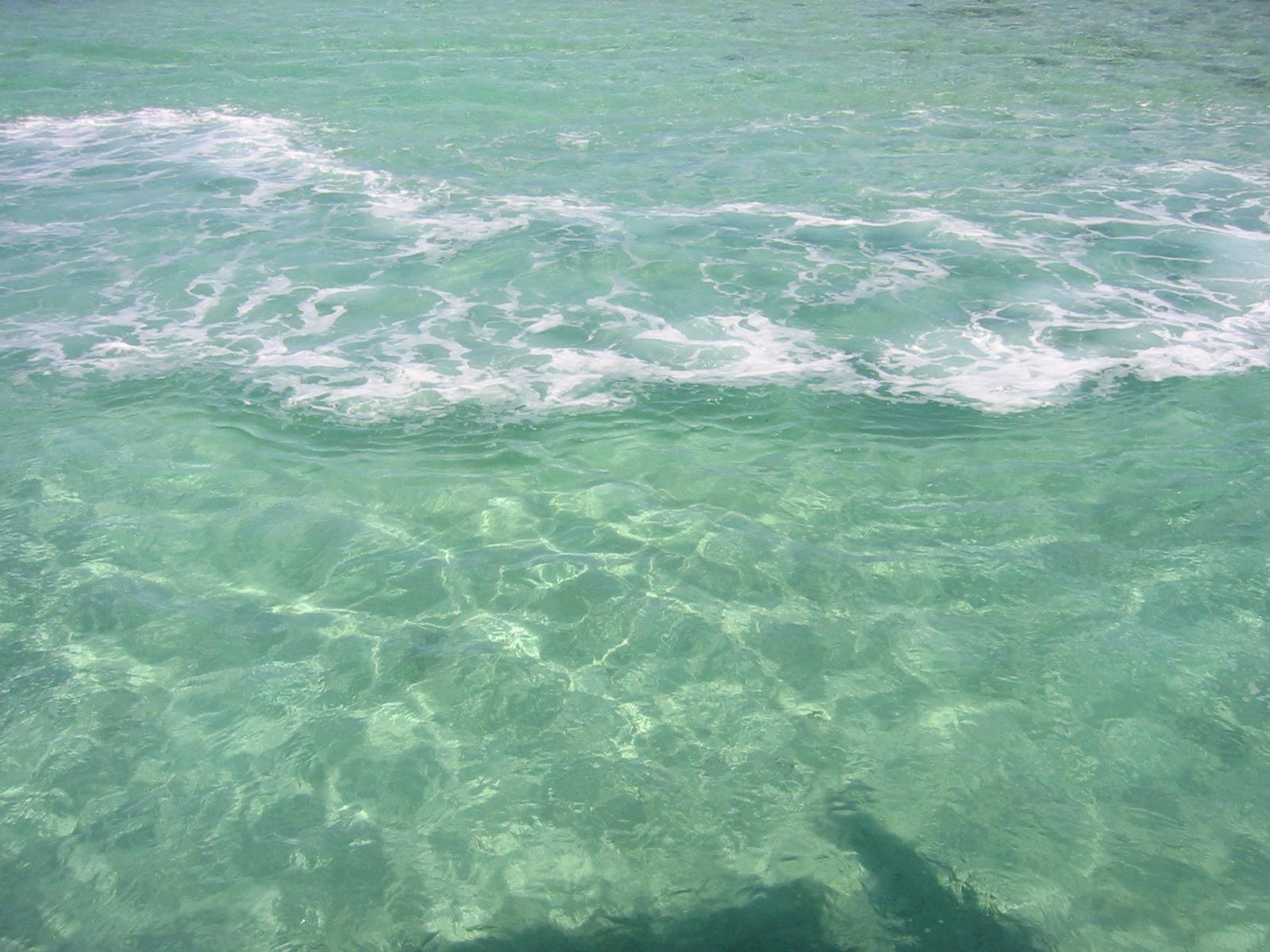 b0083918_21313824.jpg